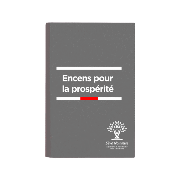 Encens pour attirer la prospérité