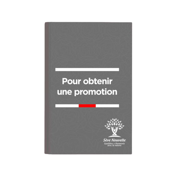 Obtenir une promotion méritée