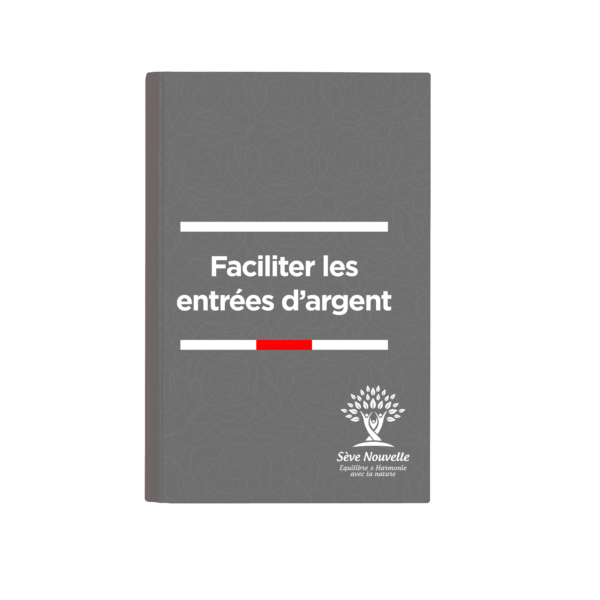Facilitez les entrées d'argent