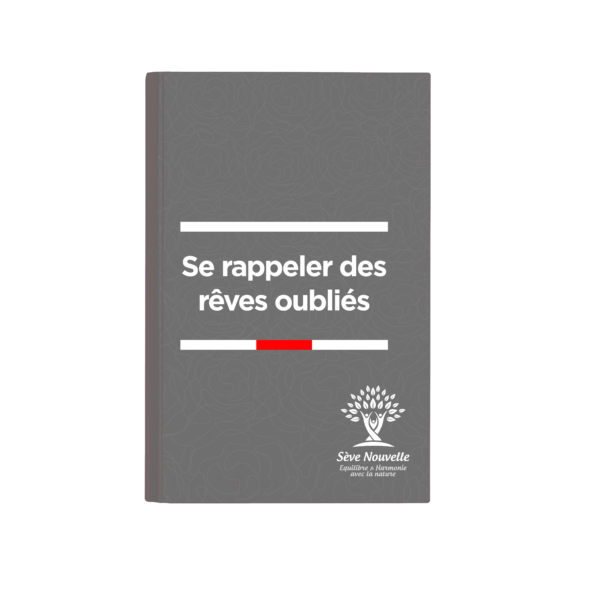 Se rappeler des rêves oubliés