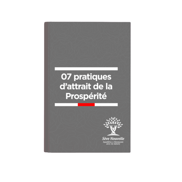 07-bonnes-pratiques-pour-attirer-la-prosperite 07 bonnes pratiques pour attirer la prospérité